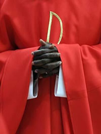 Un cardenal en el funeral de Juan Pablo II